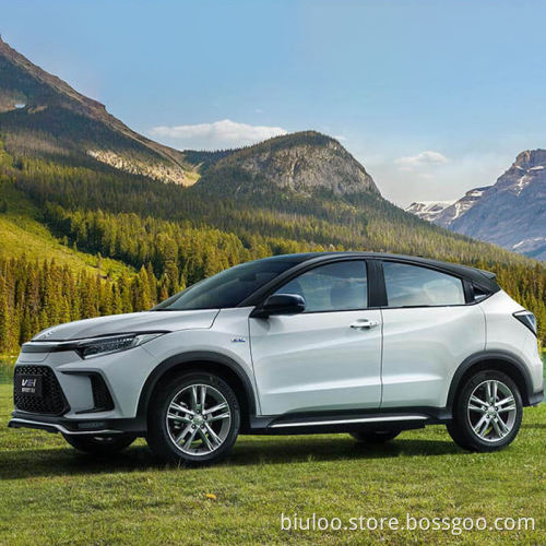 In Stock Cost-Effective Household Pure Electric Car Small SUV Of GAC For HONDA VE-1 NP1 New Model Sale In Good Price used Car